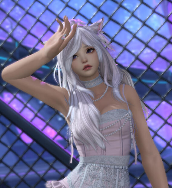 Bella Nocturne